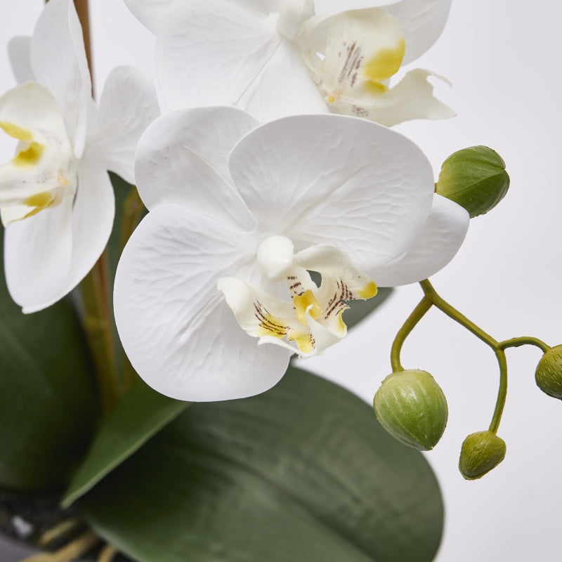 edg enzo de gasperi edg enzo de gasperi orchidea phalaenopsis con vaso ramo x2 artificiale h 53 cm white ean 8059824358066