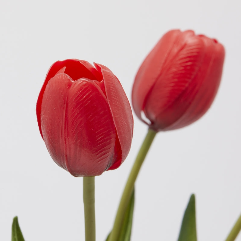 EDG Enzo De Gasperi Ramo 5 Tulipanes con Hojas H 40 Cm Rojo