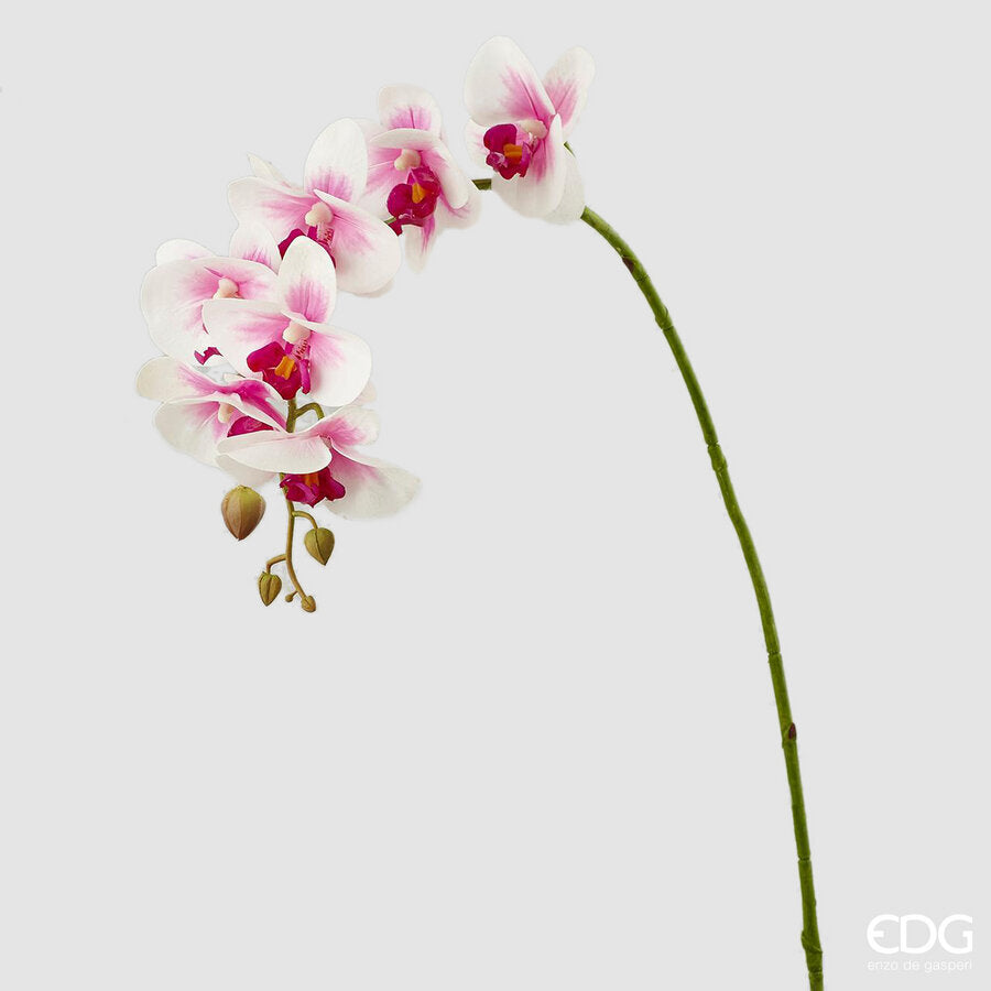 edg enzo de gasperi edg enzo de gasperi orchidea phalaenopsis real ramo artificiale h 76 cm white violet ean 8054184927228
