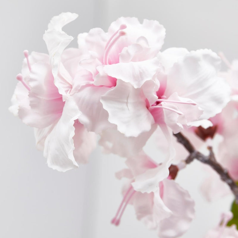EDG Enzo De Gasperi Rama Sakura Cerezo Japonés Artificial Surt. Alt 105 Cm Rosa Crema 1 Uds