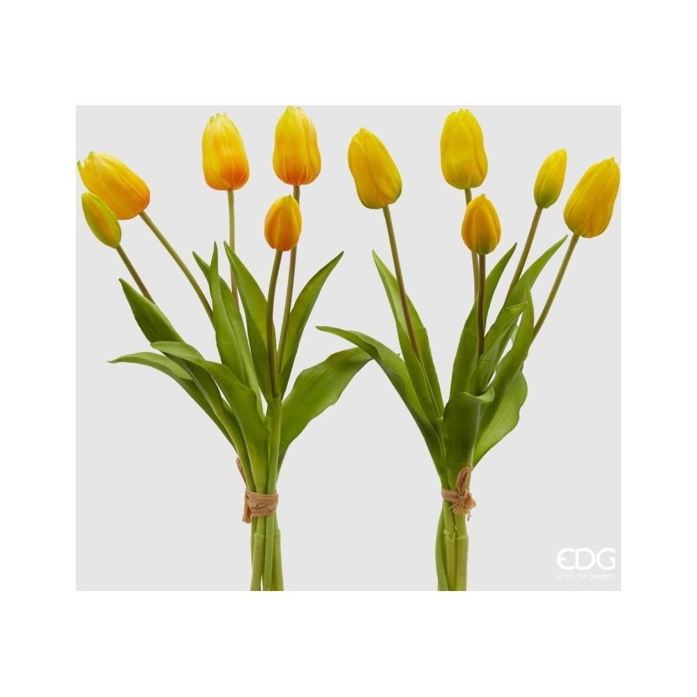EDG Enzo De Gasperi Ramo de 5 Tulipanes Olis Surt. Alt. 40 Cm Amarillo 1 Pz