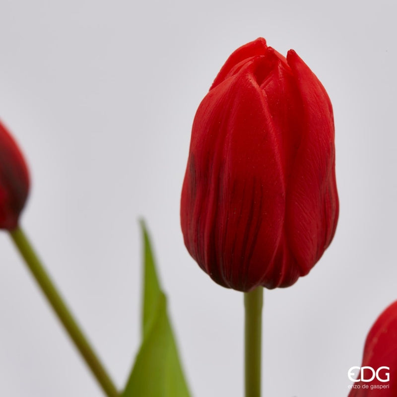 EDG Enzo De Gasperi Ramo de 5 Tulipanes Olis Variados. H 40 Cm Naranja 1 Uds