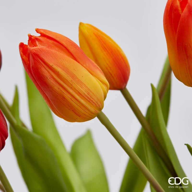 EDG Enzo De Gasperi Ramo de 5 Tulipanes Olis Variados. H 40 Cm Naranja 1 Uds