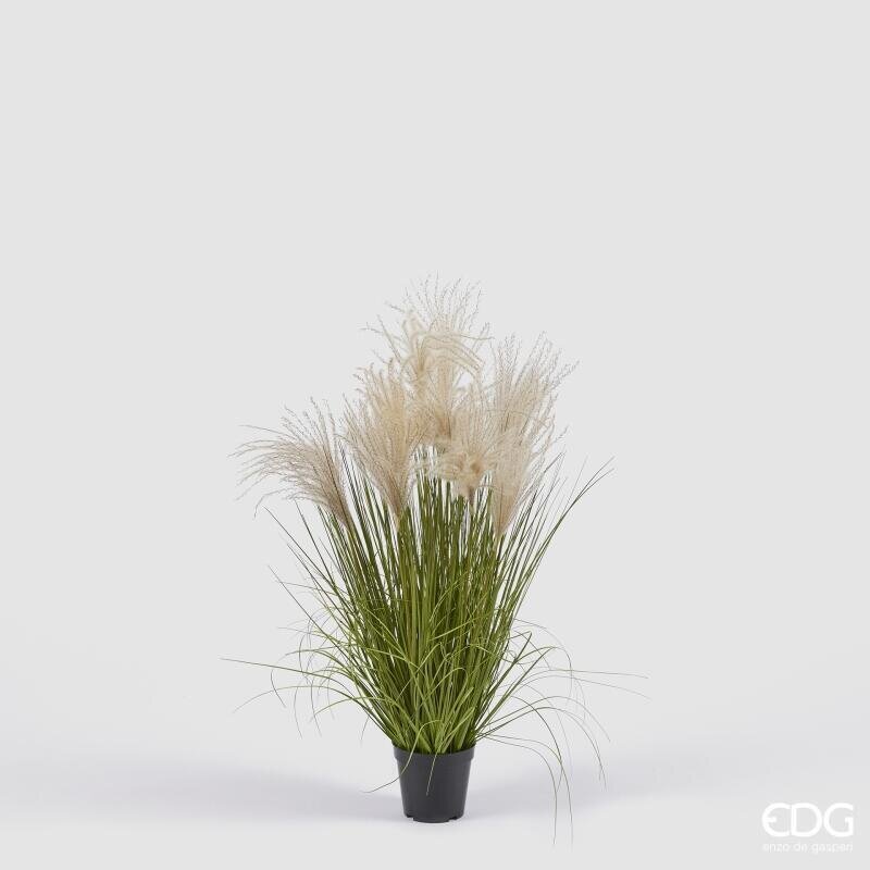 EDG Enzo De Gasperi Festuca Artificial H80 cm con Jarrón H10xØ13 cm – Planta Ornamental Decorativa para Interiores