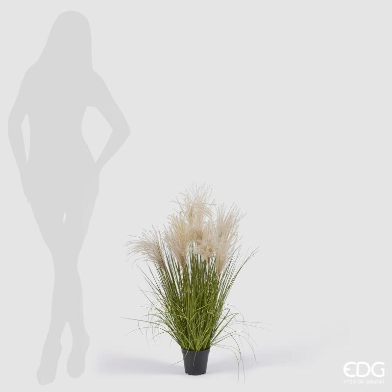 EDG Enzo De Gasperi Festuca Artificial H80 cm con Jarrón H10xØ13 cm – Planta Ornamental Decorativa para Interiores