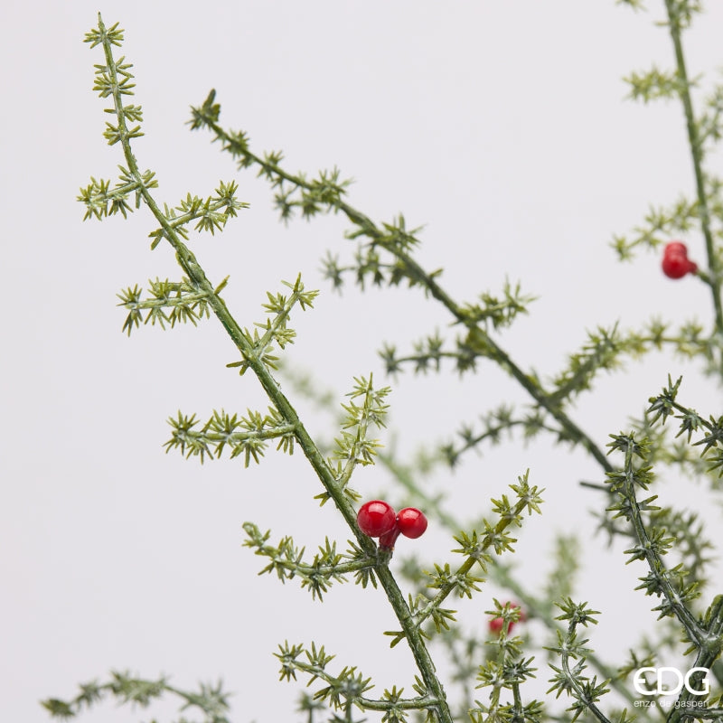 EDG Enzo De Gasperi Espárrago Silvestre con Bayas H70 cm – Decoración de Navidad