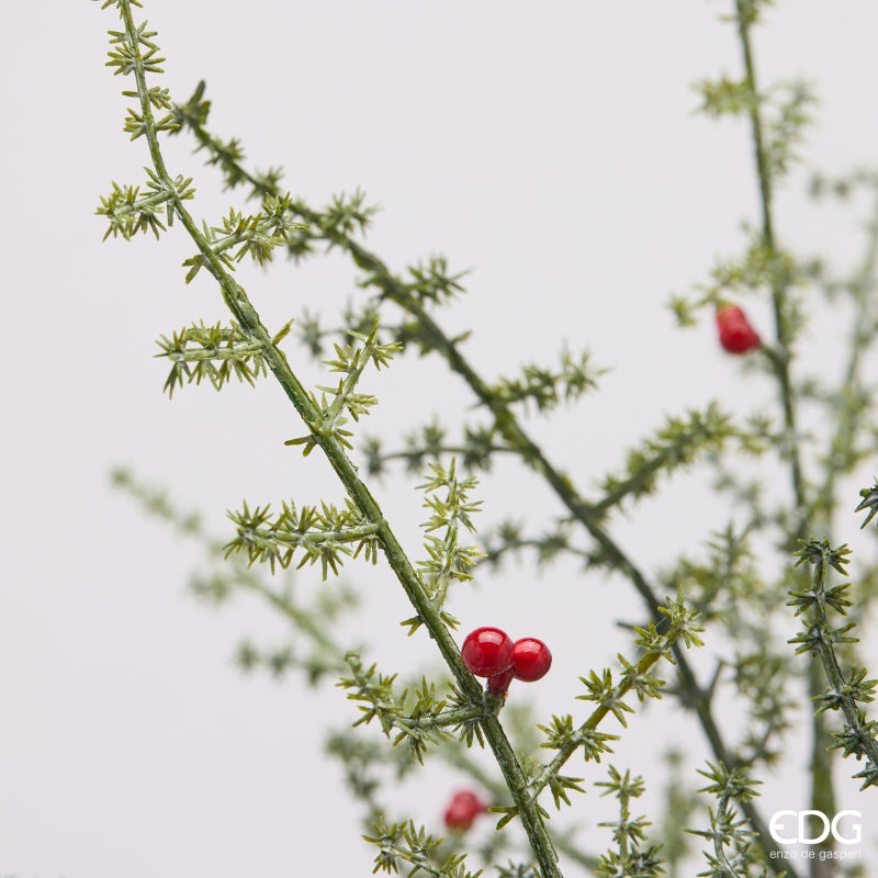EDG Enzo De Gasperi Espárrago Silvestre con Bayas H70 cm – Decoración de Navidad