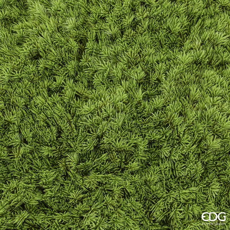 EDG Enzo De Gasperi Siepe Muschio Artificiale Anti UV 100x100 cm Impermeabile – Decorazione Verde