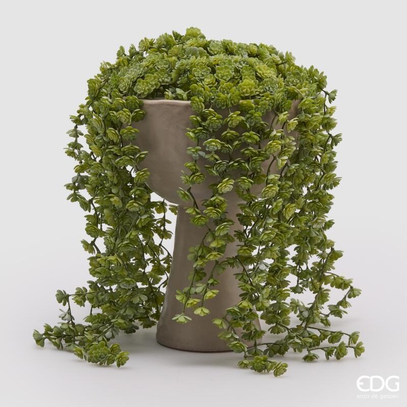 EDG Enzo De Gasperi Echeveria Olis Cespuglio Cadente H 44 Cm Planta Artificial Verde Claro