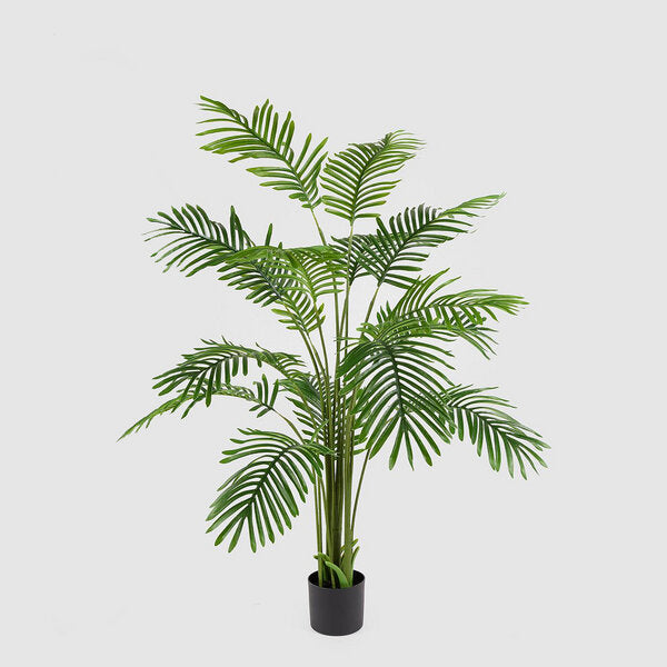 EDG Enzo De Gasperi Palma Areca C/Vaso H150 C3 Verde