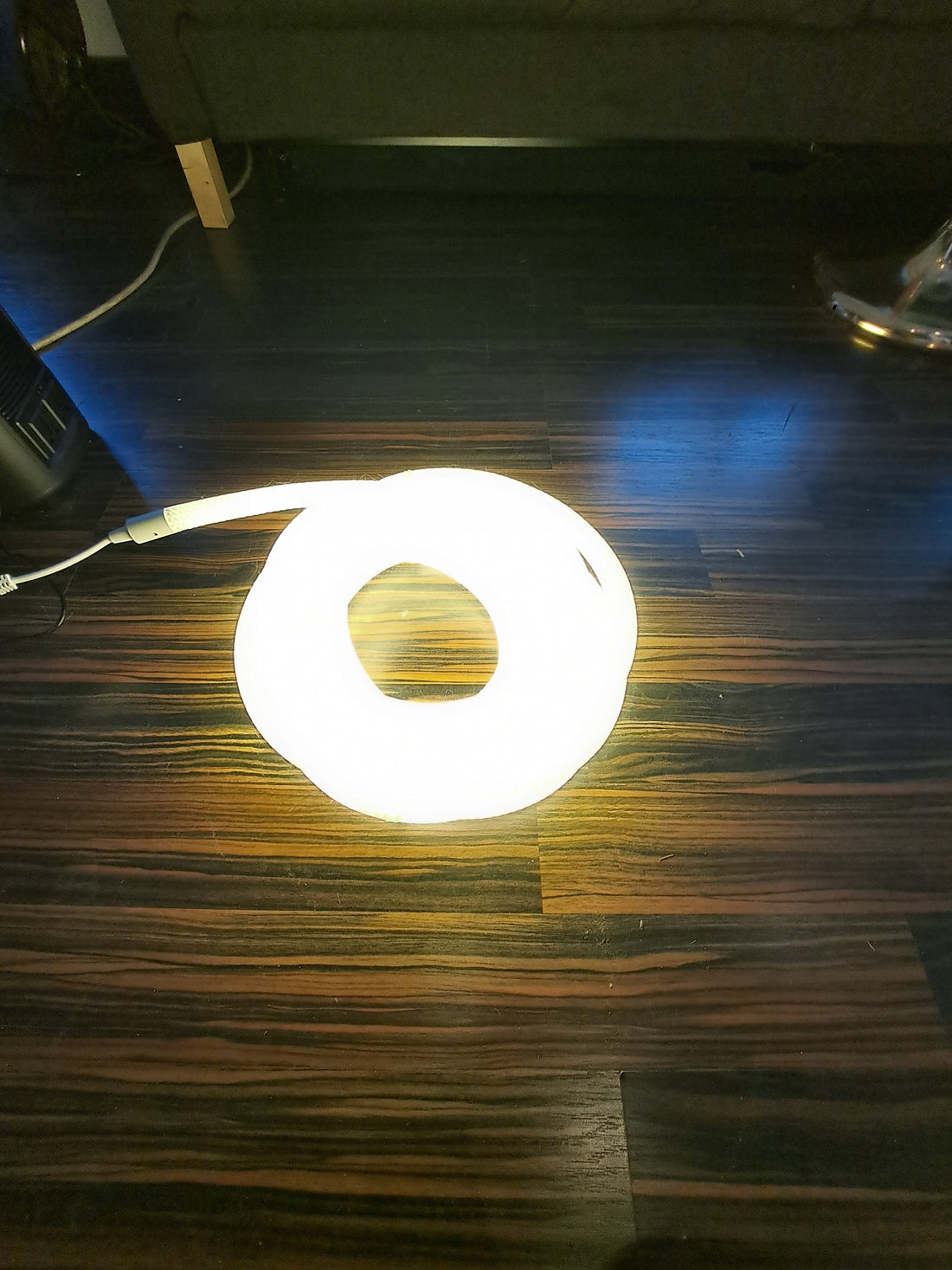 Bonturi Casa Cadena Luminosa Navideña DRAGON LIGHT 10 METROS WW