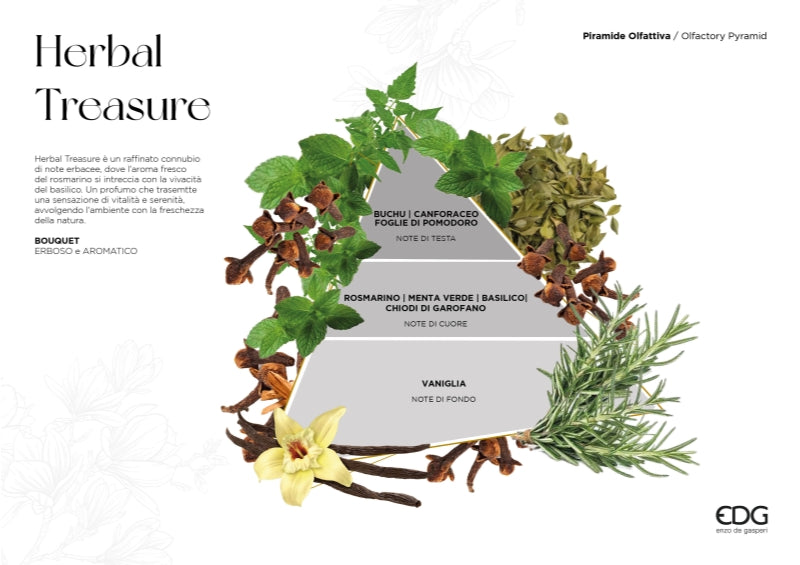 EDG Enzo De Gasperi Ambientador Botella Atena Herbal Treasure 180 ml – Ambientador Ambiente Navideño