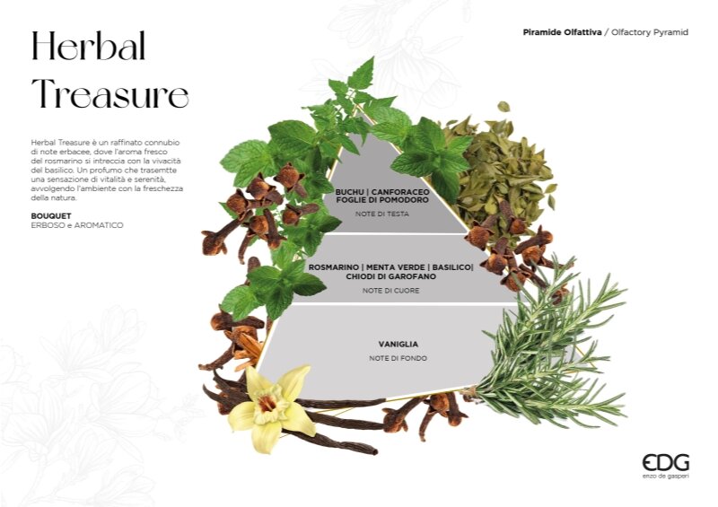 EDG Enzo De Gasperi Ambientador Botella Atena Herbal Treasure 460 ml H16 Ø9 cm – Perfume para Ambiente