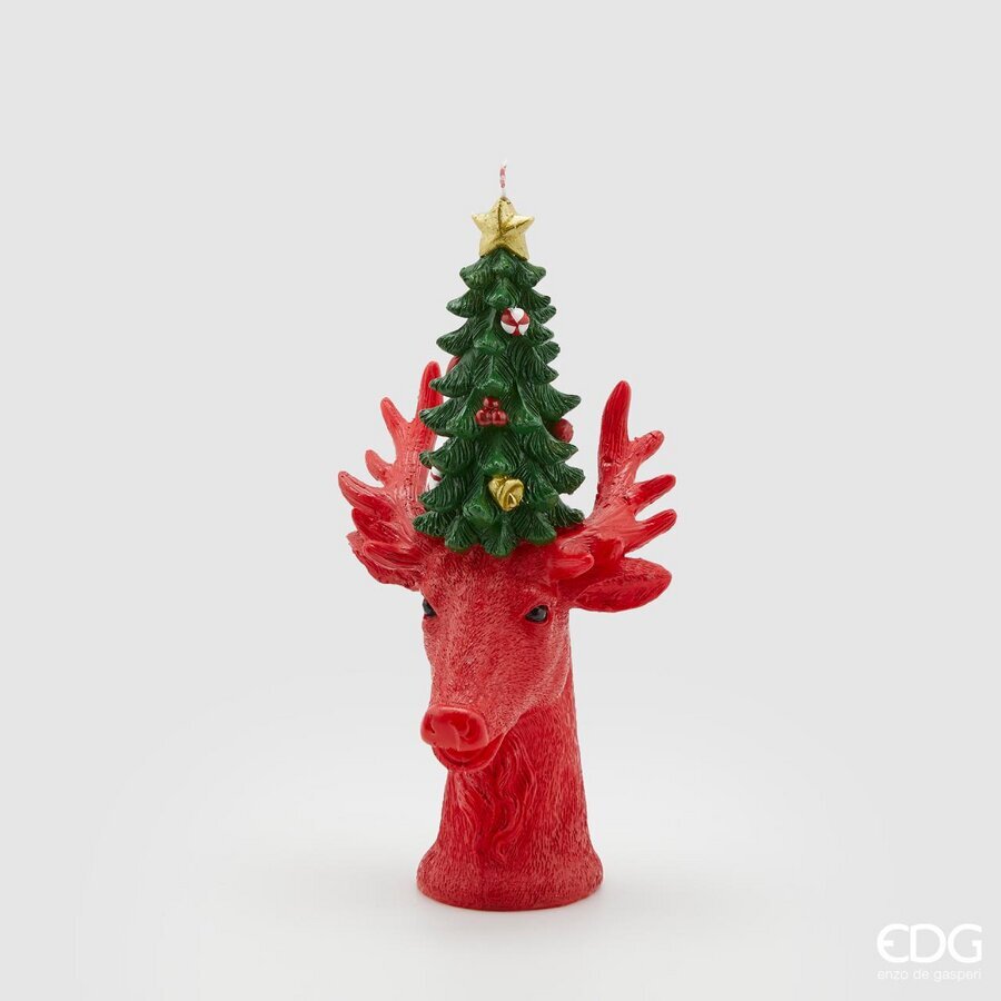 EDG Enzo De Gasperi Candela Natale Renna con Pino H27 D14 C2 Green Red