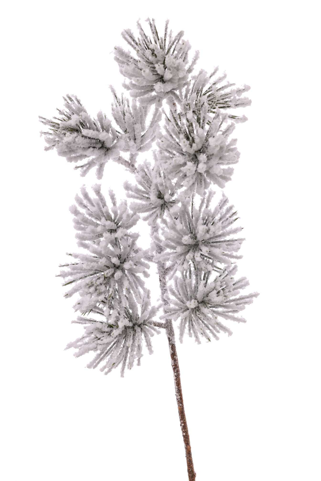 ARPIMEX Rama Navideña de Pino Nevado Alt. 51 Cm