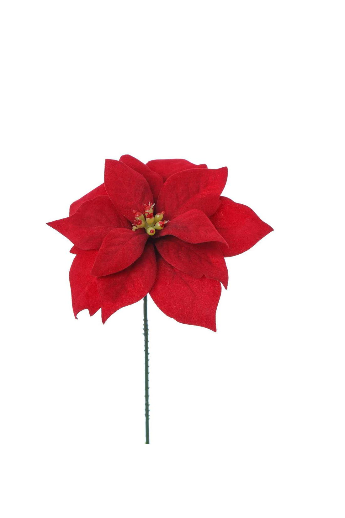 ARPIMEX Pick Navidad Mini Estrella de Navidad H 18 Cm