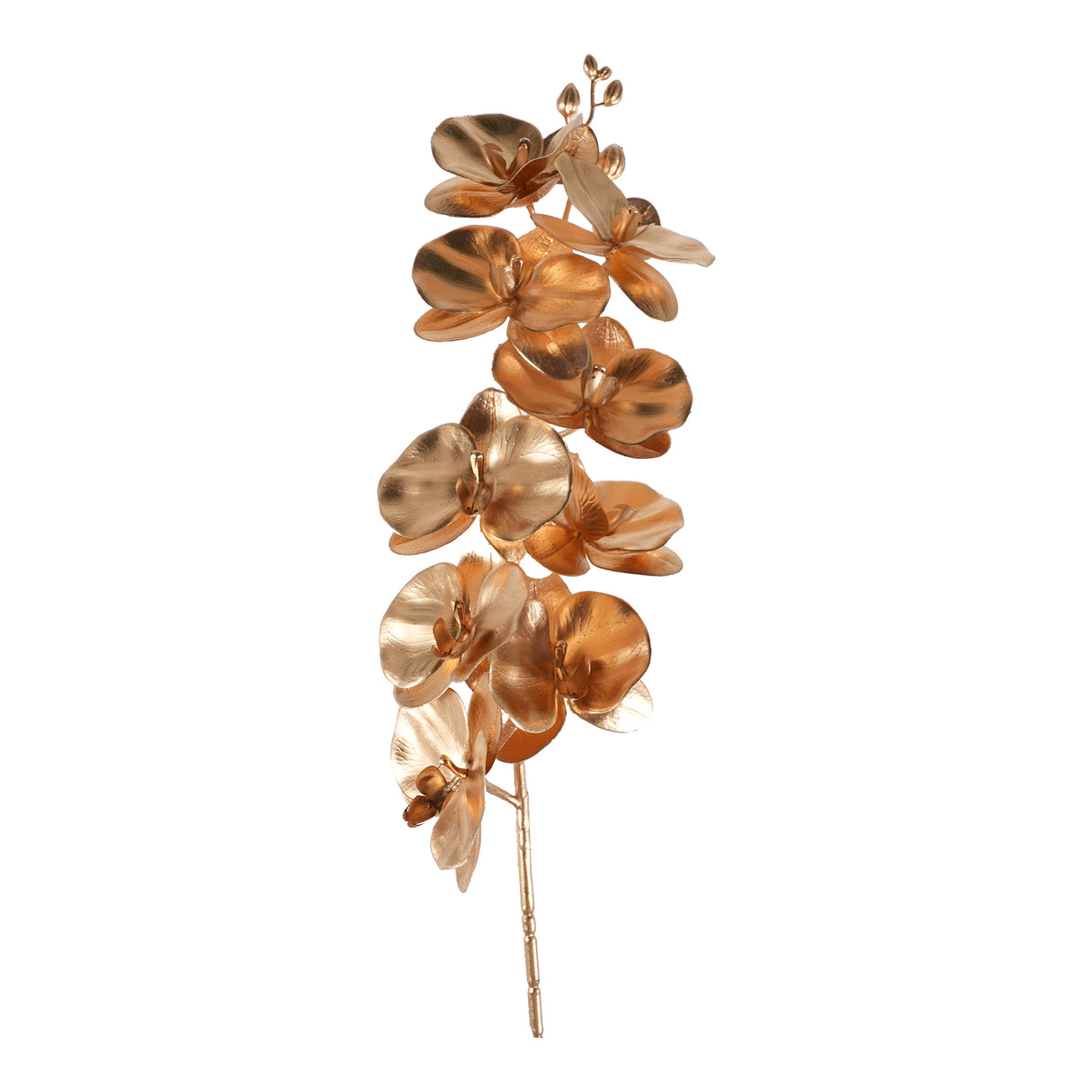 arpimex arpimex ramo phalaenopsis 9 fiori decorazione di natale h 90 cm oro ean 8018318560569
