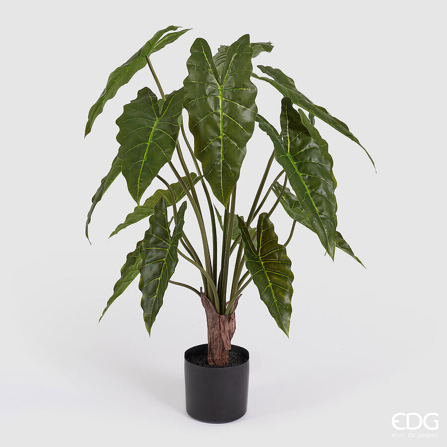 edg enzo de gasperi edg enzo de gasperi alocasia con vaso h 90 cm pianta artificiale verde ean 8059824489586