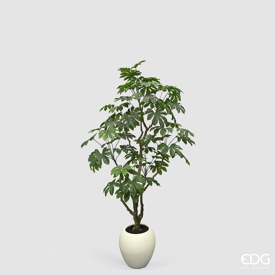 edg enzo de gasperi edg enzo de gasperi aralia vogue con vaso pianta artificiale h 230 cm verde ean 8059824607362