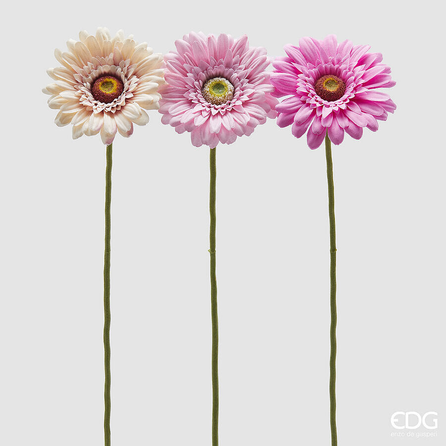 edg enzo de gasperi edg enzo de gasperi gerbera ramo ass h 60 cm d 12 cm pianta artificiale rosa crem 1 pz ean 8059824457028