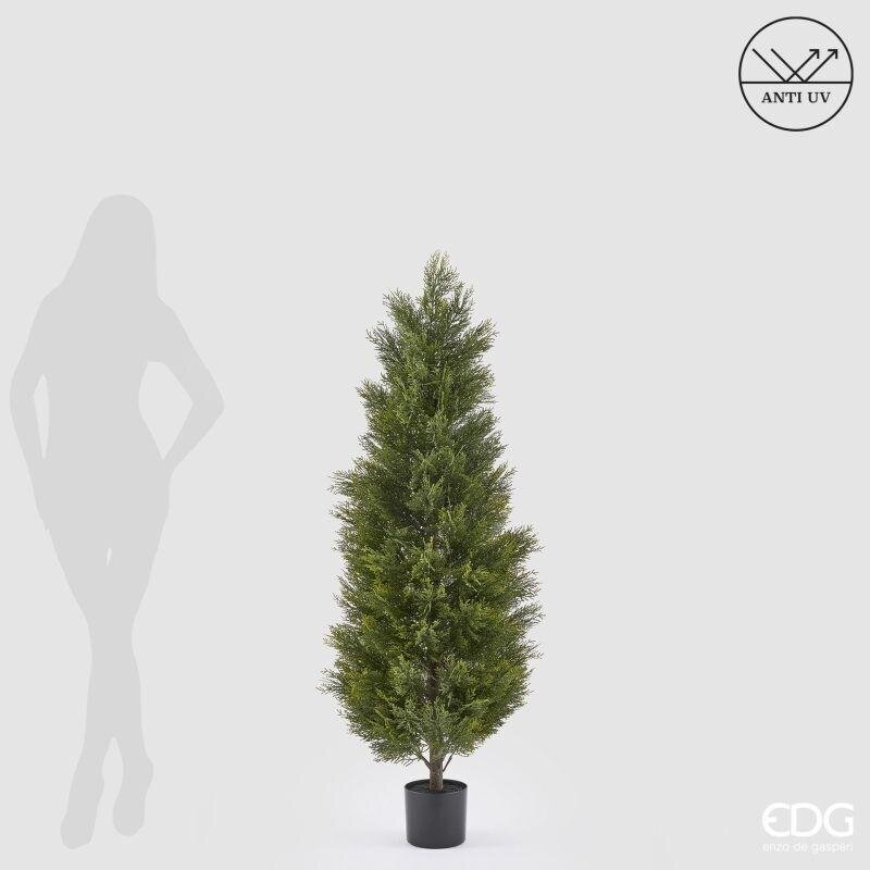 edg enzo de gasperi edg enzo de gasperi pianta artificiale cipresso h 150 cm verde con vaso anti uv per interno ed esterno ean 8059824655400