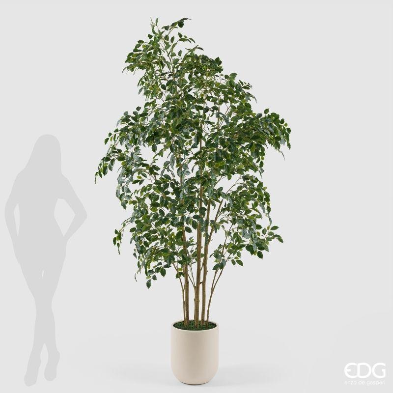 edg enzo de gasperi edg enzo de gasperi pianta artificiale ficus beniamino vogue con vaso h 240 cm pianta decorativa realistica design moderno ean 8059824655042