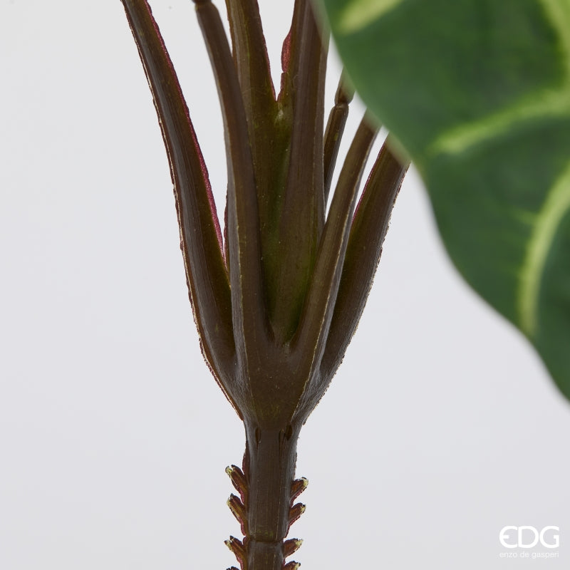 edg enzo de gasperi edg enzo de gasperi alocasia cespuglio x10 h 40 cm pianta artificiale mix verde ean 8059824634702