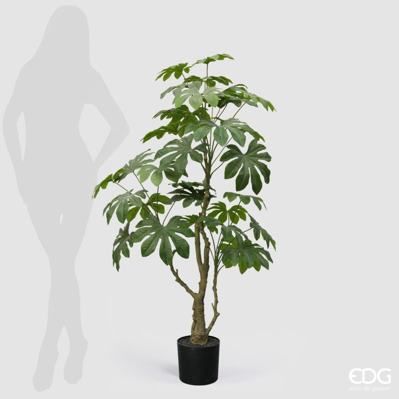 edg enzo de gasperi edg enzo de gasperi aralia vogue con vaso pianta artificiale h 144 cm verde ean 8059824607379