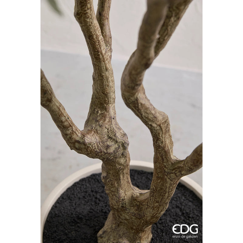 edg enzo de gasperi edg enzo de gasperi aralia vogue con vaso pianta artificiale h 230 cm verde ean 8059824607362