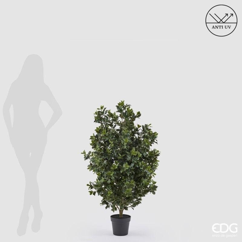 edg enzo de gasperi edg enzo de gasperi pianta artificiale agrifoglio h 125 cm con vaso anti uv verde per interno ed esterno