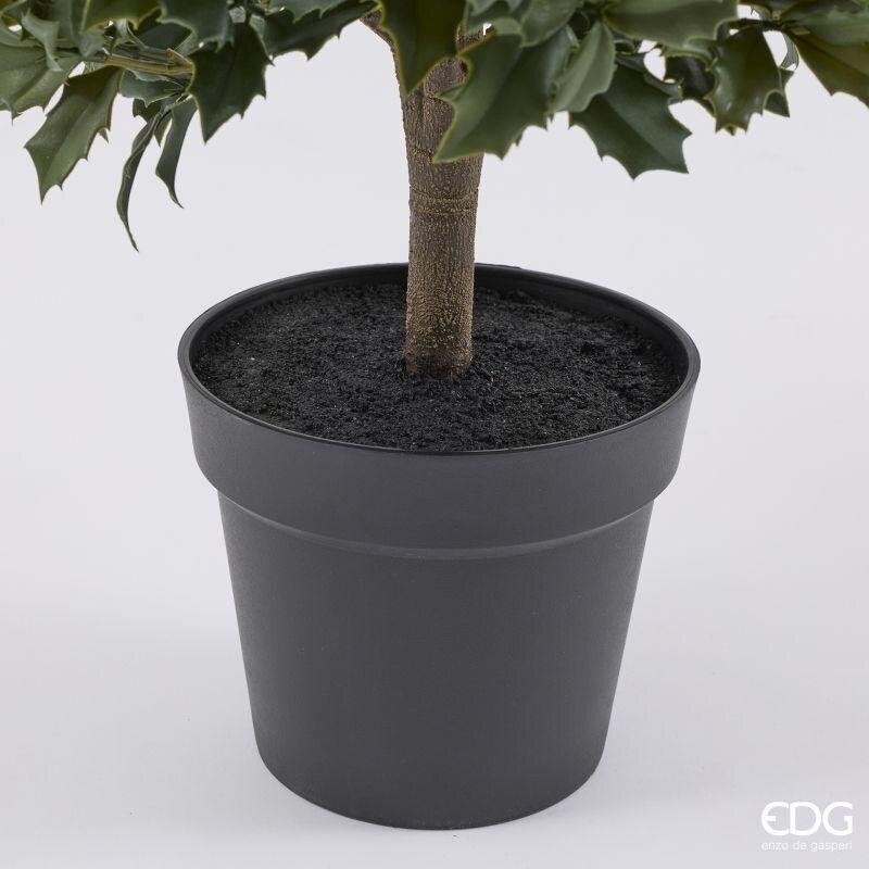 edg enzo de gasperi edg enzo de gasperi pianta artificiale agrifoglio h 188 cm con vaso anti uv verde per interno ed esterno ean 8059824655318