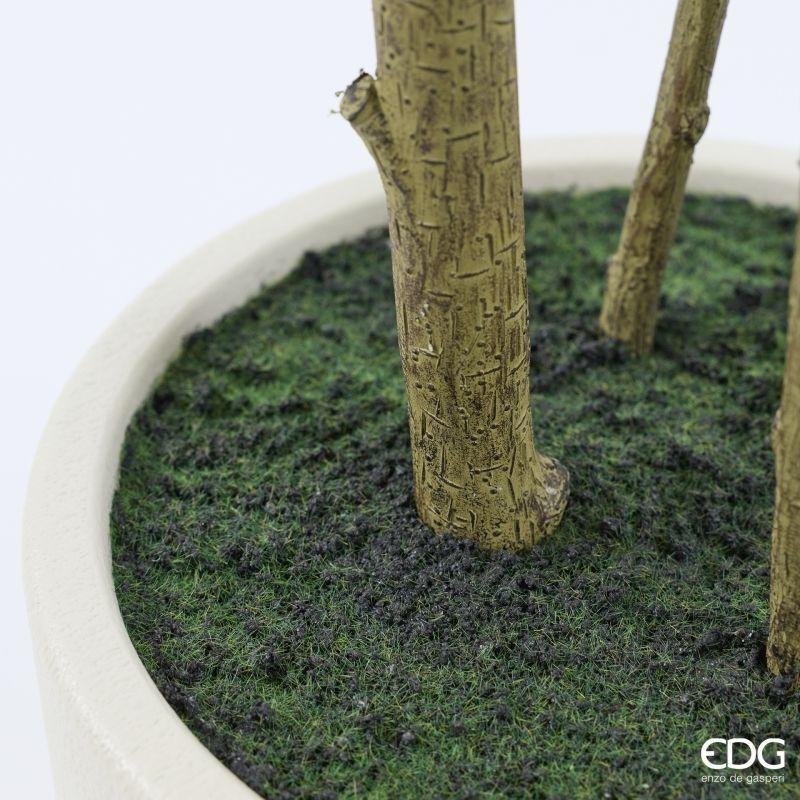 edg enzo de gasperi edg enzo de gasperi pianta artificiale ficus beniamino vogue con vaso h180 cm pianta decorativa realistica design moderno ean 8059824655073