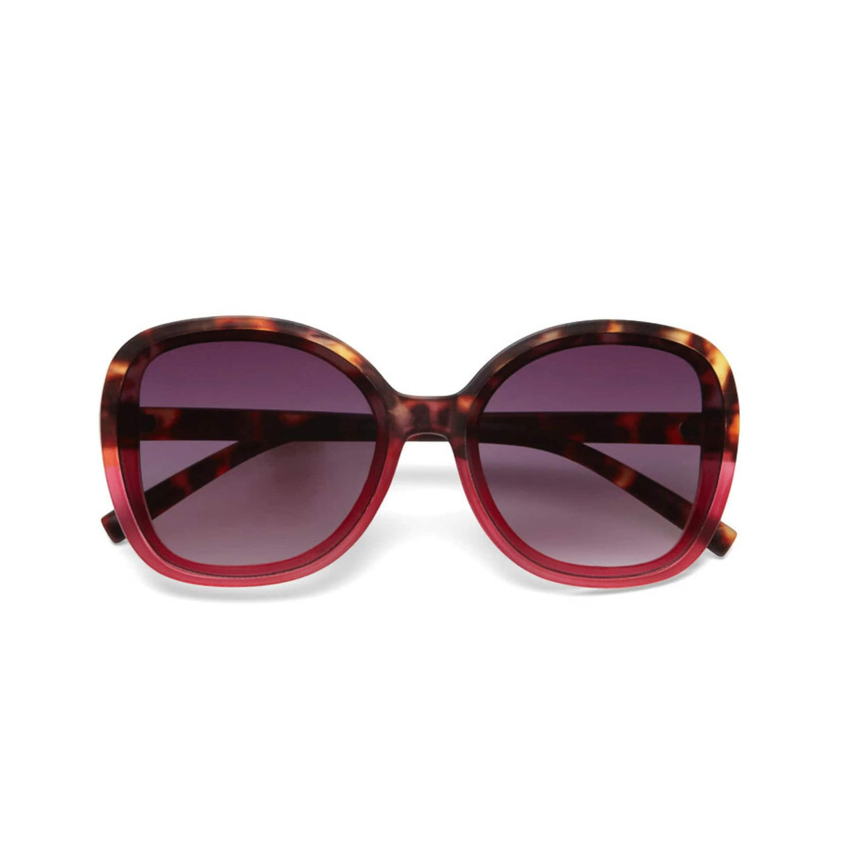 okkia okkia occhiale da sole premontato butterfly mod anna havana pink ean 8052862288920