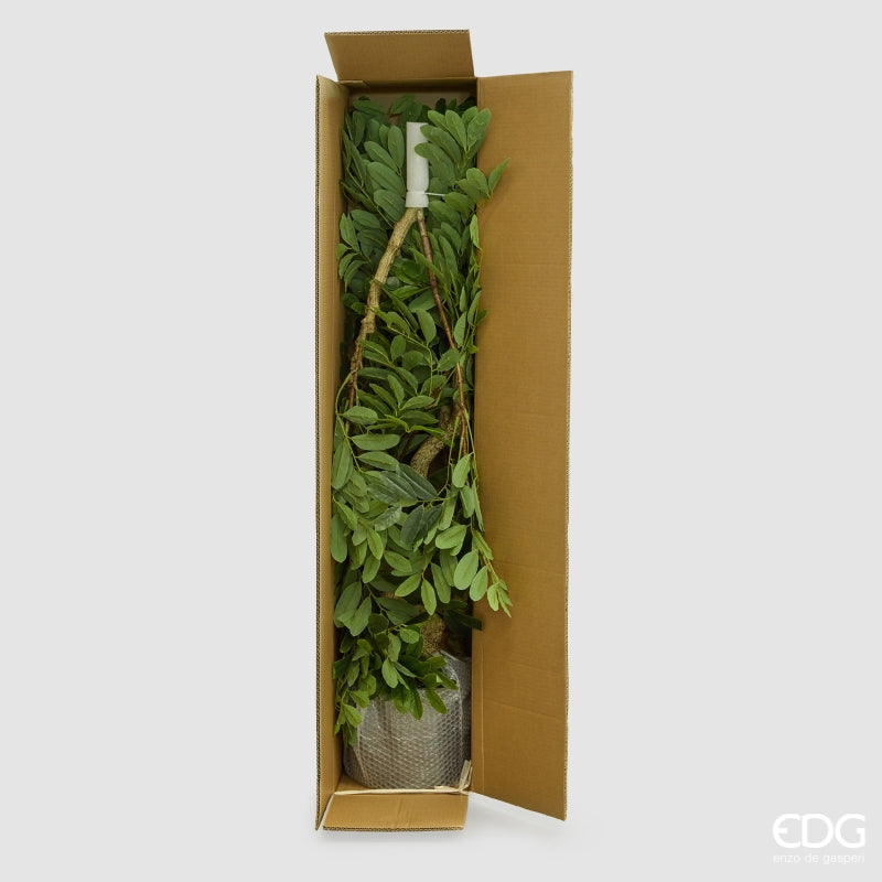 edg enzo de gasperi edg enzo de gasperi dalbergia vogue con vaso pianta artificiale h 180 cm verde ean 8059824607300