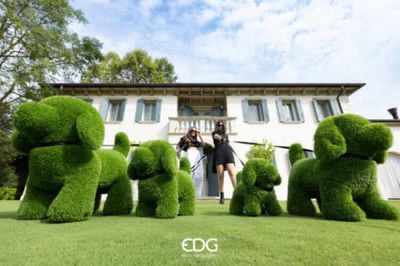 EDG Enzo De Gasperi Decoro Erba Cane H 33 Cm L 23 Cm L 35 Cm Green Verde