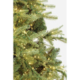 Bizzotto Albero di Natale Ritter H 210 cm con 3567 Rami e 6000 LED