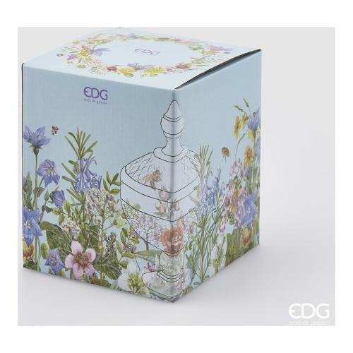 EDG Enzo De Gasperi Contenedor Copa Potiche H 25 Cm D 15 Cm Natural Transparente con Caja