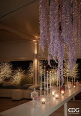 EDG Enzo De Gasperi Recipiente Copa H29 D15 Natural Transparente