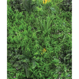 L'Arcolaio Pannello Verde Verticale 1x1m - Siepe Decorativa
