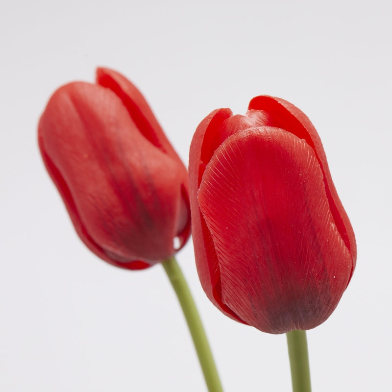 EDG Enzo De Gasperi Ramo 5 Tulipanes con Hojas H 48 Cm Rojo