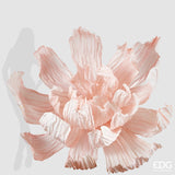 edg enzo de gasperi edg enzo de gasperi peonia jumbo da appendere h 90 cm d 160 cm rosy peach ean 8059824502049