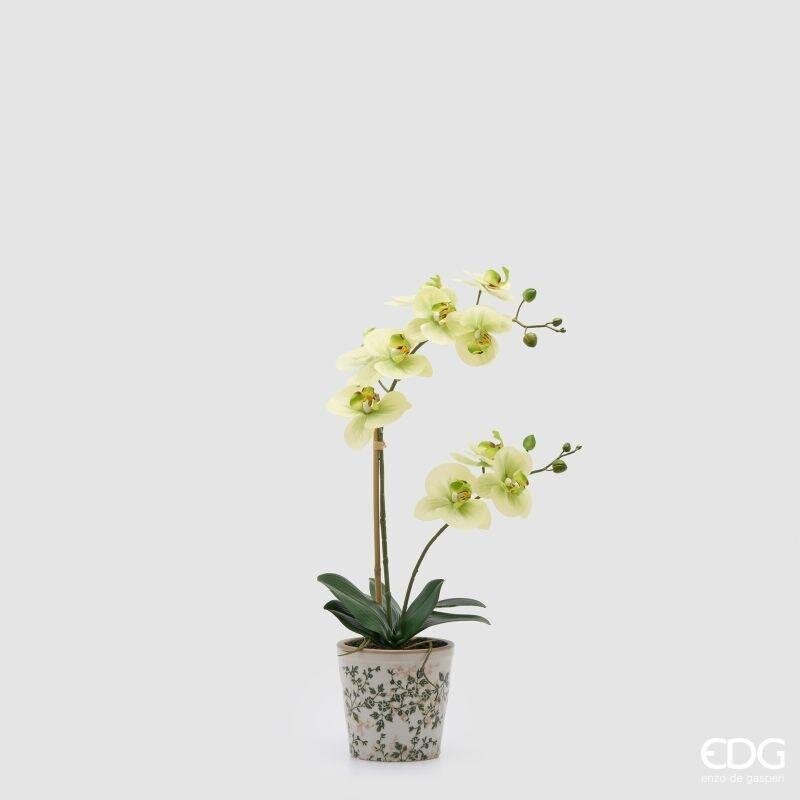 EDG Enzo De Gasperi Orquídea Phalaenopsis x2 con Botón y Jarrón Planta Artificial H 60 Cm Amarillo Verde