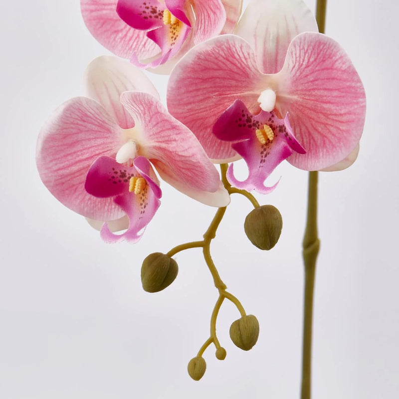 edg enzo de gasperi edg enzo de gasperi orchidea phalaenopsis real ramo artificiale h 76 cm white violet ean 8054184927228