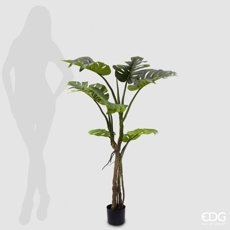 EDG Enzo De Gasperi Monstera Slim Con Jarrón Artificial H 130 Cm Green