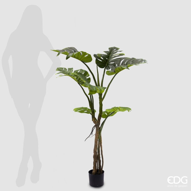 EDG Enzo De Gasperi Monstera Slim Con Jarrón Artificial H 130 Cm Green
