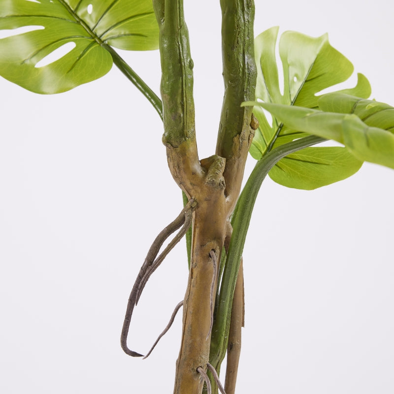 EDG Enzo De Gasperi Monstera Slim Con Jarrón Artificial H 130 Cm Green