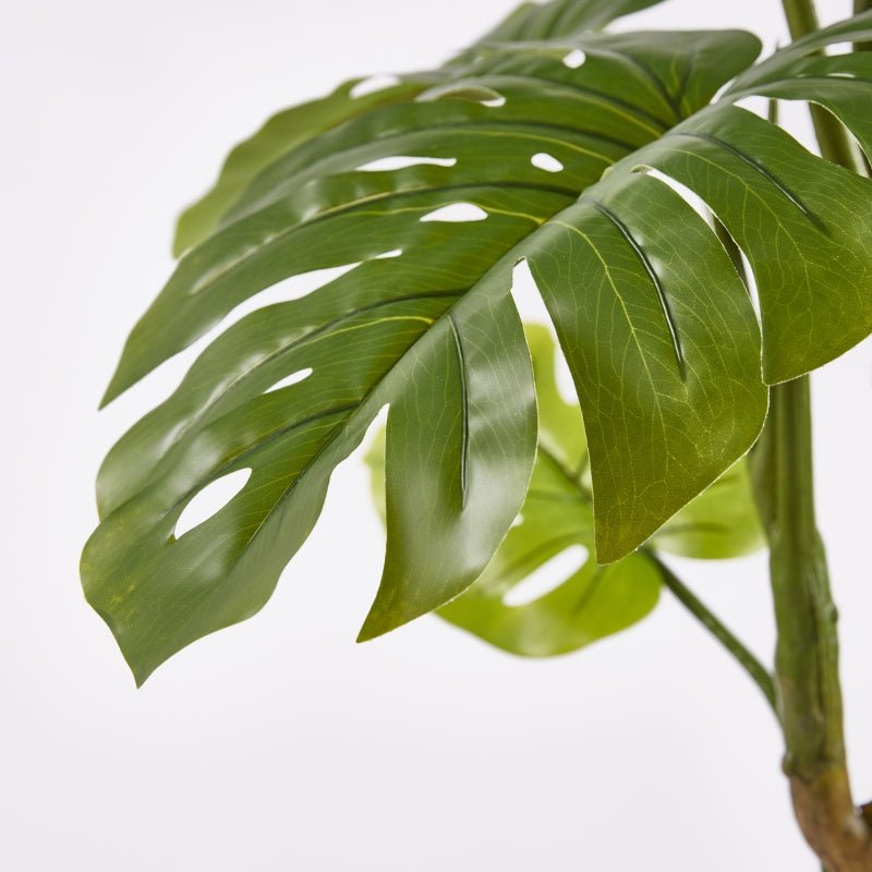 EDG Enzo De Gasperi Monstera Slim Con Jarrón Artificial H 130 Cm Green