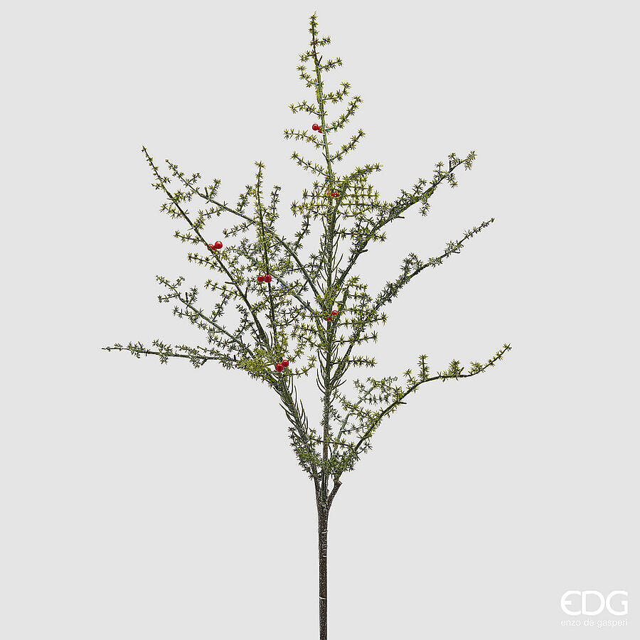 EDG Enzo De Gasperi Ramo Asparago Selvatico con Bacche H80 cm Verde Rosso – Ramo Decorativo Natalizio