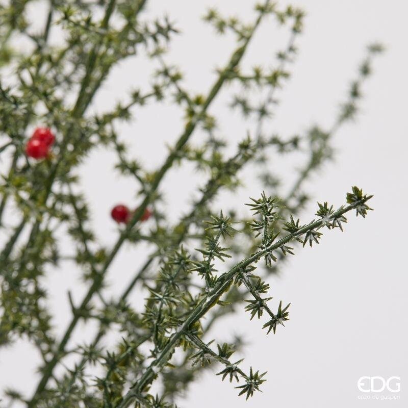EDG Enzo De Gasperi Mazzo Asparago Selvatico con Bacche Green Red H50 cm – Decorazione di Natale