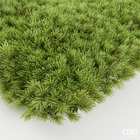 EDG Enzo De Gasperi Seto Musgo Artificial Anti UV 100x100 cm Impermeable – Decoración Verde